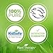 Plant Therapy Australian Sandalwood Essential Oil 100% Pure, Undiluted, Natural Aromatherapy for Diffusion and Body Care, Therapeutic Grade 5 mL (1/6 oz)