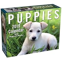 Puppies 2019 Mini Day-to-Day Calendar