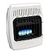 Dyna-Glo BF10NMDG 10,000 BTU Natural Gas Blue Flame Vent Free Wall Heater