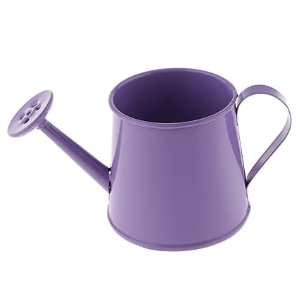 Amazon Com Flameer Decorative Iron Metal Watering Cans Garden
