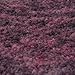 Maples Rugs Pelham Transitional Runner Rug - Made in USA - Washable, Non Slip, Indoor Carpet for Hallway, Kitchen, and Laundry Room, 2' x 6', Wineberry