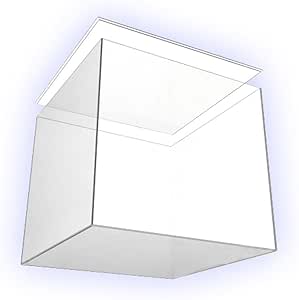 . Presentación Caja 15 cm x 15 cm x 15 cm Grande con suelo/Tapa