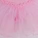 FEESHOW Girls' Gymnastic Camisole Leotard Ballet Dance Dress Tutu Skirt Ballerina Dancing Costumes Pink 3-4
