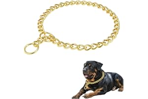 SOSOPET Gold Dog Choke Collar Dogs Chain Choker Link Training Collar Pet Metal Slip Puppy Martingale Collars for XXS XS Small Medium Large Big XL Breed Dogs XL