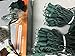 Cosmo Lighting Christmas / Outdoor / Patio Lights 60 count Concave LED String Lights, Green Wire, Cold White