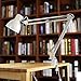 ToJane Metal Desk Lamp,30