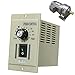 ExGizmo 400W Motor Speed Controller AC 110V Input DC 0-90V Output Adjustable Electric Speed Regulator Single Phase Knob Switch