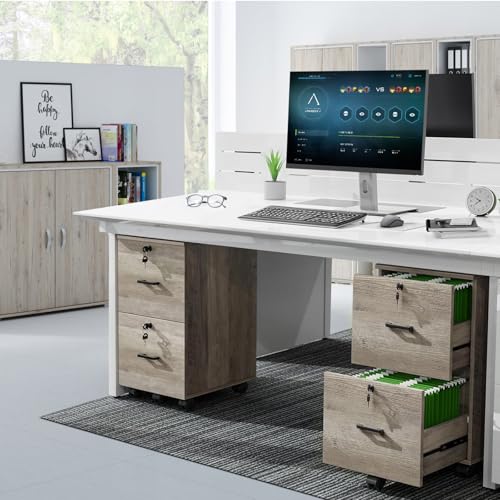 Archivador con 2 Cajones, Archivero con 5 Ruedas para Archivos A4 Tamaño Carta, Archivero Organizador Debajo del Escritorio para Oficina en Casa, Archiveros con Cerradura con Soporte para Impresora