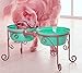 BestVida Sparks Pet Stand (Large, green)