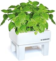 SeedBox SBMIMG Kit huerto Urbano de Menta, Blanco, 20x25x25 cm ...