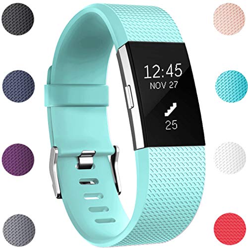 GEAK Bands Replacement for Fitbit Charge 2, Adjustable Sports Wrist Bands for Fitbit Charge 2, Large Mint Green