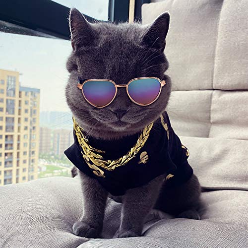 Legendog Cool Cat Dog Costume Fashion Metal Pet Dog Collar Cat Sunglasses Pineapple Print Dog Shirt for Cats and Small Dogs Adjustable Gold Dog Puppy Chain Collar Set (Multicolor1)