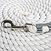 Intrepid International Horse Lunge Line Rope