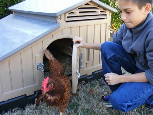 Formex Snap Lock Standard Chicken Coop Backyard Hen House 