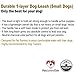 Dog Leash for Medium, Large and Small Dogs - 6 Foot Dog Leashes for Training and Daily Walks - Durable Sizes in Lightweight and Heavy Duty for Small and Large Breeds (1-Layer, Black)