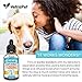 Hemp Oil For DOGS and CATS – 1500 MG – Natural HEMP Extract and Hemp Oil for Pets - Made in USA – Best for Dog Anxiety, Pain Relief and Joint Support for Dogs – Pet Omega 3, 6, 9 – Order RISK-FREE