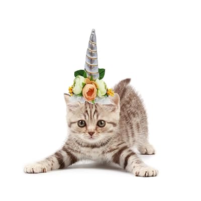 Buy POPETPOP Dog Unicorn Horn-Unicorn 