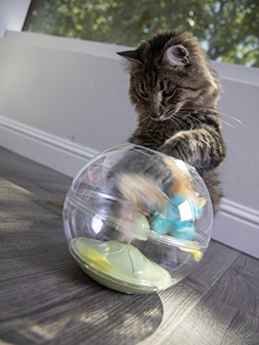 petlinks flitter fly