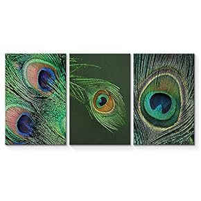 Canvas Wall Art Abstract Vintage Peacock Painting Artwork for Home Prints Framed - 16"x24" x 3 Panels