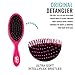 Wet Brush Original and Mini Hair Brush - Pink and Purple - Ultra-soft IntelliFlex Bristles - Travel Size Brush Glides Through Tangles With Ease For All Hair Types - For Women, Men, Wet And Dry Hair