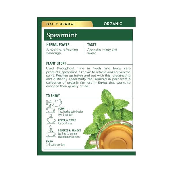 TRADITIONAL MEDICINALS ORGANIC TEA – SPEARMINT 16 BAGS (PACK OF 2)
