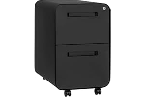 Laura Davidson Furniture Stockpile 2 Drawer Mobile File Cabinet with Lock - Under Desk Metal Filing Cabinet, Legal/Letter File Folders, Wheels and Stationary Feet, Pre-Assembled, Black