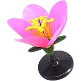 Life Size Artificial Flower Anatomy Model with Removable Parts for Botany Classroom Instruction and Group Activities Biology Teaching Supplies