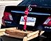TrunkStrap – Tie Down Strap for Car Trunk Lid or SUV Liftgate w/luggage rack & cross bar. Heavy Duty. Adjustable. Easy and Fast to Install. No Tools Needed. The Safest and Most Secure Tie Down Available. Eliminates the Hassle and Unreliability of Rope or Bungee Cord