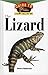 The Lizard: An Owner's Guide to a Happy Healthy Pet by