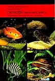 Cichlids from West Africa by 