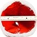 Funny Party Hats Santa Hat - Red Sequin Santa Hat - Coil Christmas Tree Hat - Christmas Hats - 2 Pack Holiday Hats