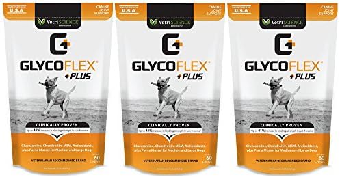 GlycoFlex Plus, Hip and Joint Supplement for Dogs Bundled with Canine Health Record Report
