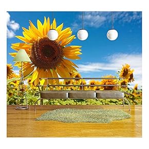Field of Sunflowers Under a July Sun - Removable Wall Mural | Self-Adhesive Large Wallpaper - 66x96 inches