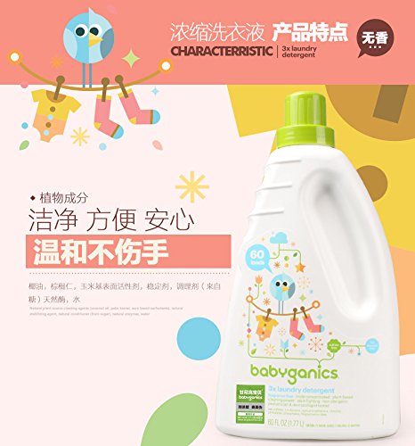 website template image