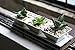 Set of 3 Decorative Modern Mini White Square Flower, Succulent Planters/Dishes with Display Tray