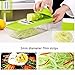 TAPCET Multi-function Food Slicer, Mandoline Vegetable Slicer, Fruit and Cheese Cutter, 5 Interchangeable Blades+Food Container+Peeler+Cleaning Brush+Blade Storage Box, Best for Carrot/Cucumber/Cheese