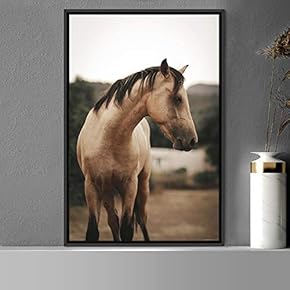 signwin Framed Canvas Wall Art Horse Animals Dramatic...