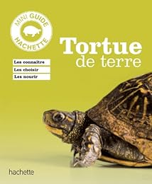 Tortues de terre