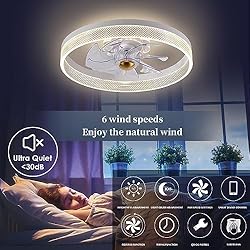 Fszdorj 20‘’ Ceiling Fan with Light, 2024