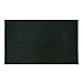 BIGA Front Welcome Entrance Door Mats for Indoor Outdoor Entry Garage Patio High Traffic Areas Shoe Rugs