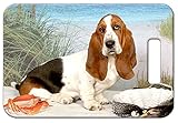 Set of 2 Basset Hound Luggage Tags