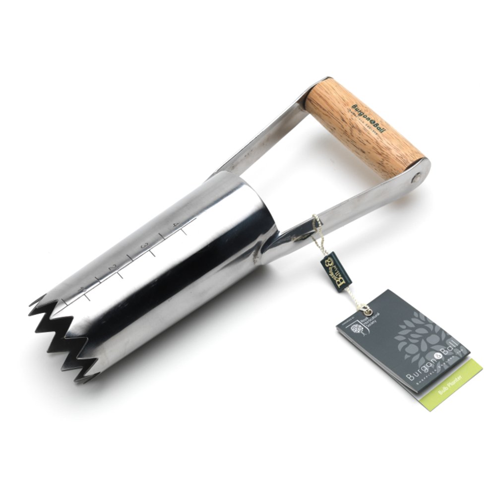 Burgon & Ball Stainless Steel Bulb planter, 29 cm Length x 7 cm Width