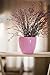 Santino, Self Watering Planter Deco 5.5 Inch, Jade, Indoor Decorative Flower Pot with Drainage Cartridge and Water Level Indicator