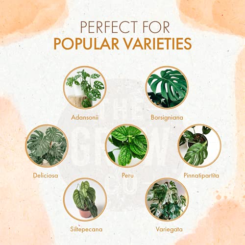 Organic Monstera Plant Food Liquid Fertilizer for Indoor and Outdoor