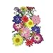 Assorted Colorful Real Pressed Dried Flowers Natural Dried Flowers for Art Craft DIY Resin