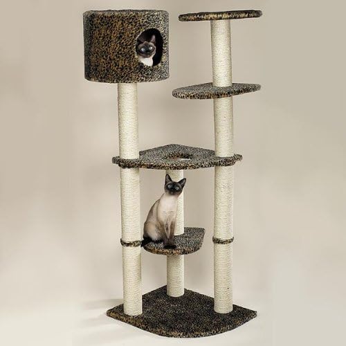 corner cat condo