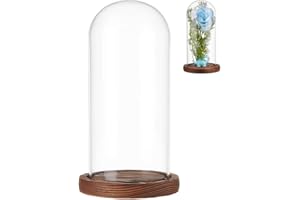 NBEADS Clear Glass Dome, Clear Glass Display Case with Camel Wood Base Decorative Display Dome Case for Plants Flower Display Photos Medals Decoration, Finish Size:4.1x7.5 Inch