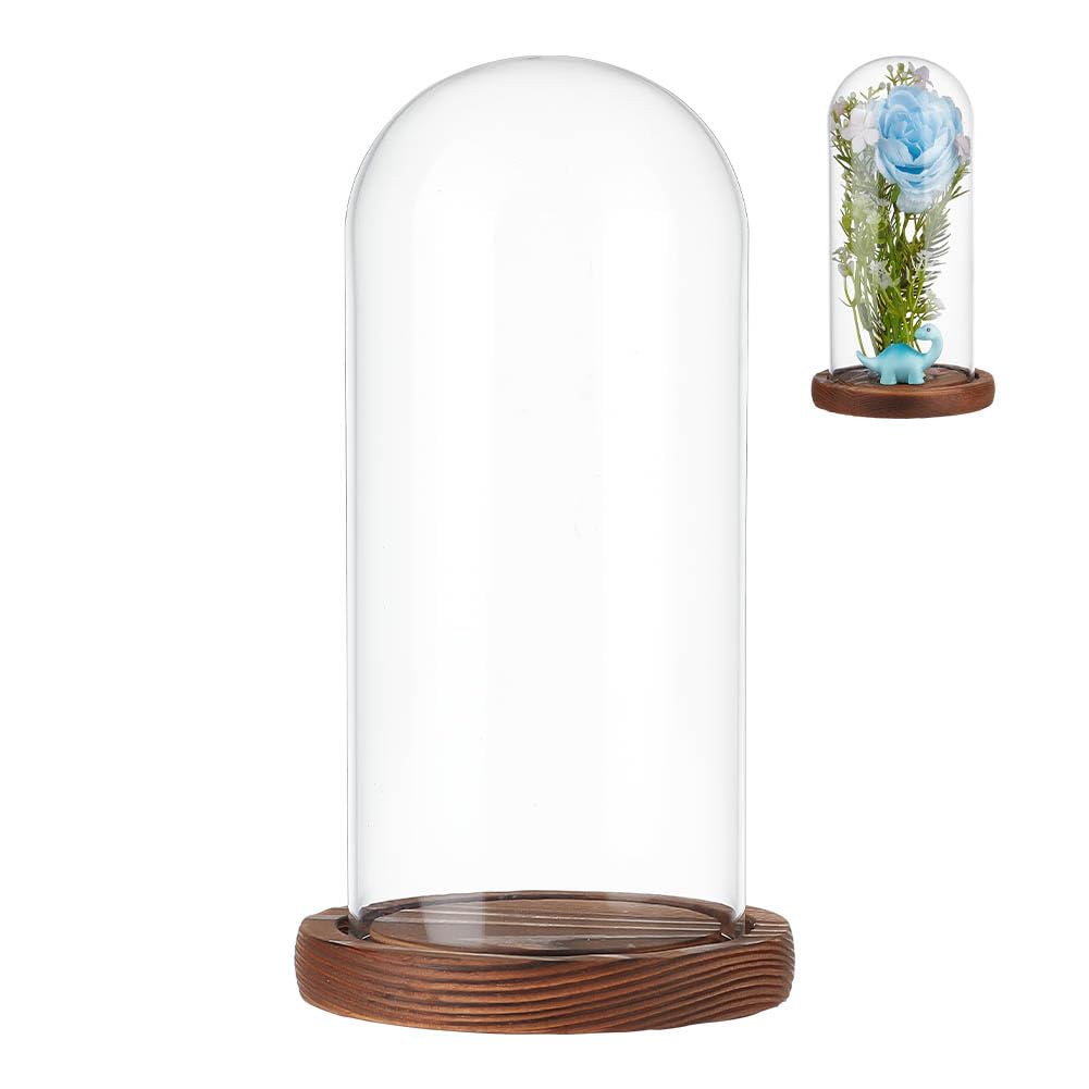 NBEADS Clear Glass Dome, Clear Glass Display Case with Camel Wood Base Decorative Display Dome Case for Plants Flower Display Photos Medals Decoration, Finish Size: 104x190mm