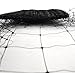 Ross Trellis Netting (Support for Climbing, Fruits, Vegetables and Flowers) Black Garden Netting, 18 feet x 6 feet