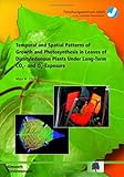 Temporal and Spatial Patterns of Growth and Photosynthesis in Leaves of Dicotyledonous Plants under Long-Term CO2- and O3-Exposure, Christ, Maja M., 3893364064